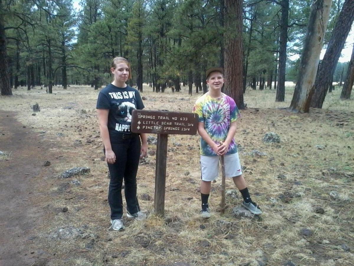 Adair Springs Cabin Pinetop-Lakeside Buitenkant foto
