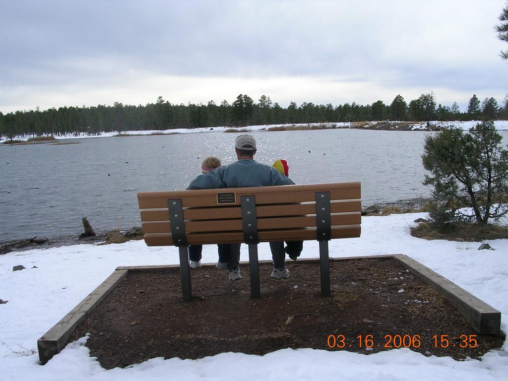 Adair Springs Cabin Pinetop-Lakeside Buitenkant foto