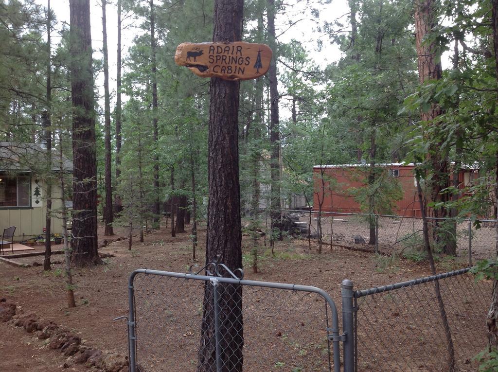 Adair Springs Cabin Pinetop-Lakeside Buitenkant foto